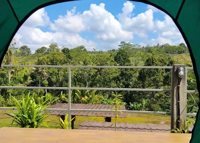 Campo de lujo The Living Glamping And