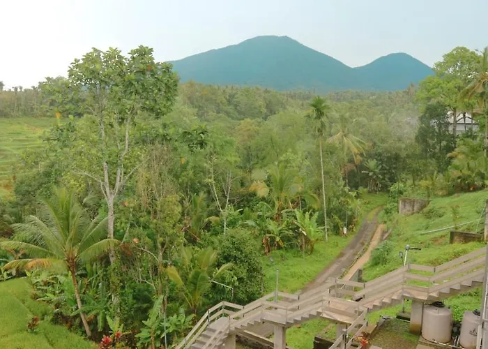 Campo de lujo The Living Glamping And *